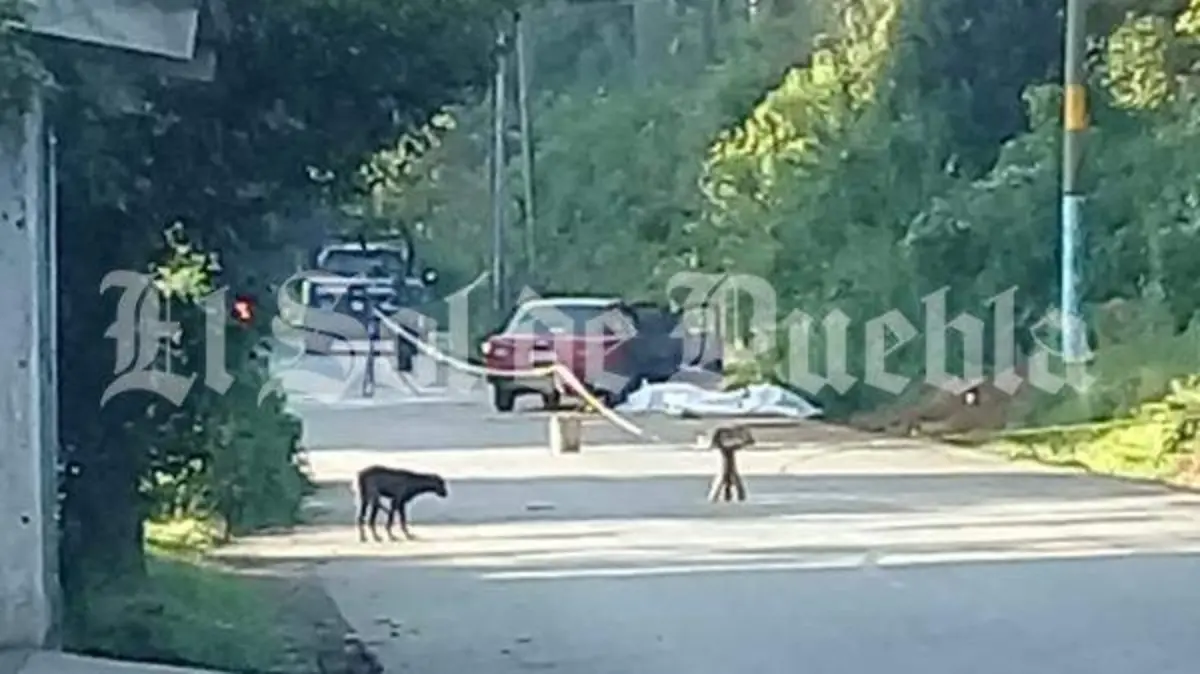 ejecutan a policias